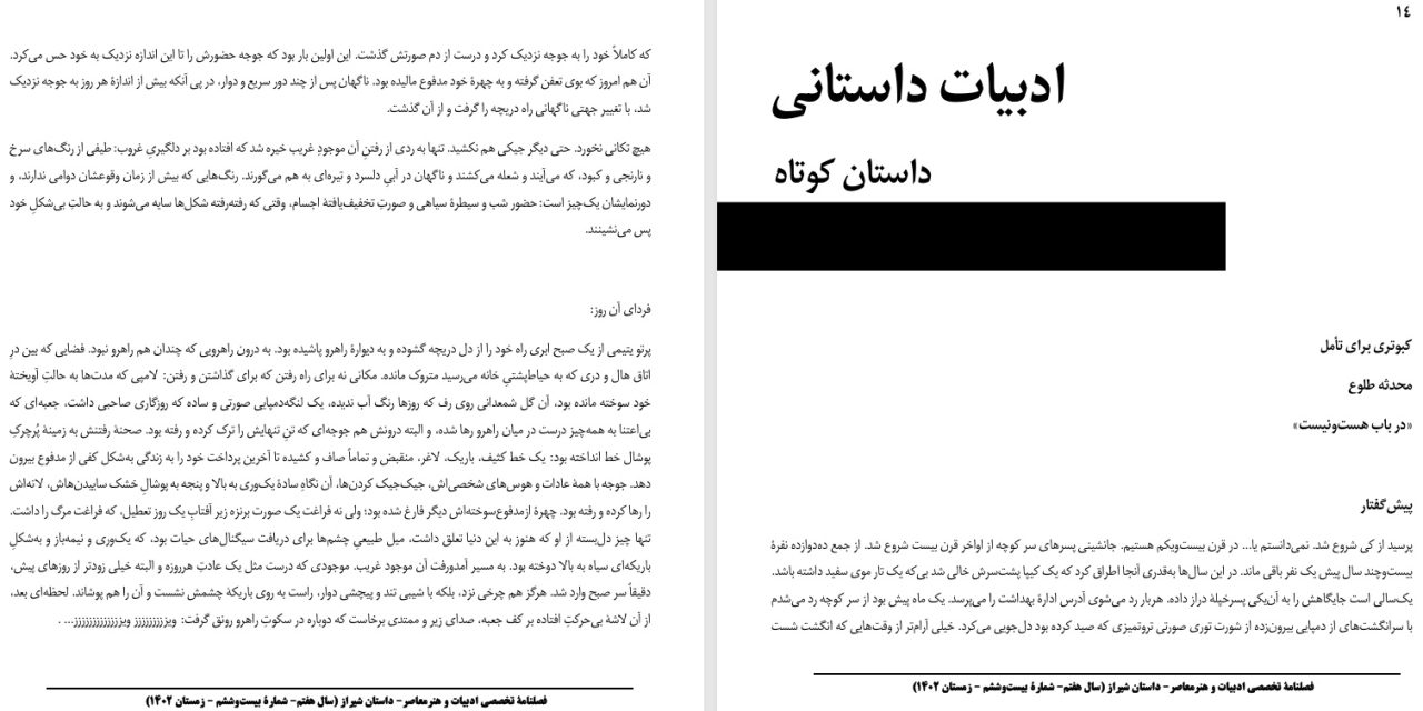 کبوتری برای تأمل- محدثه طلوع